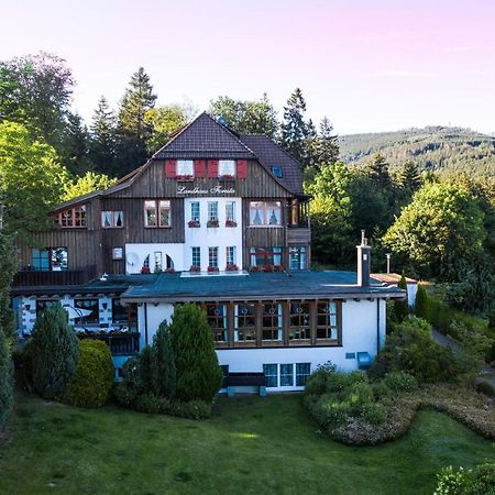Landhotel Villa Foresta Braunlage Zewnętrze zdjęcie