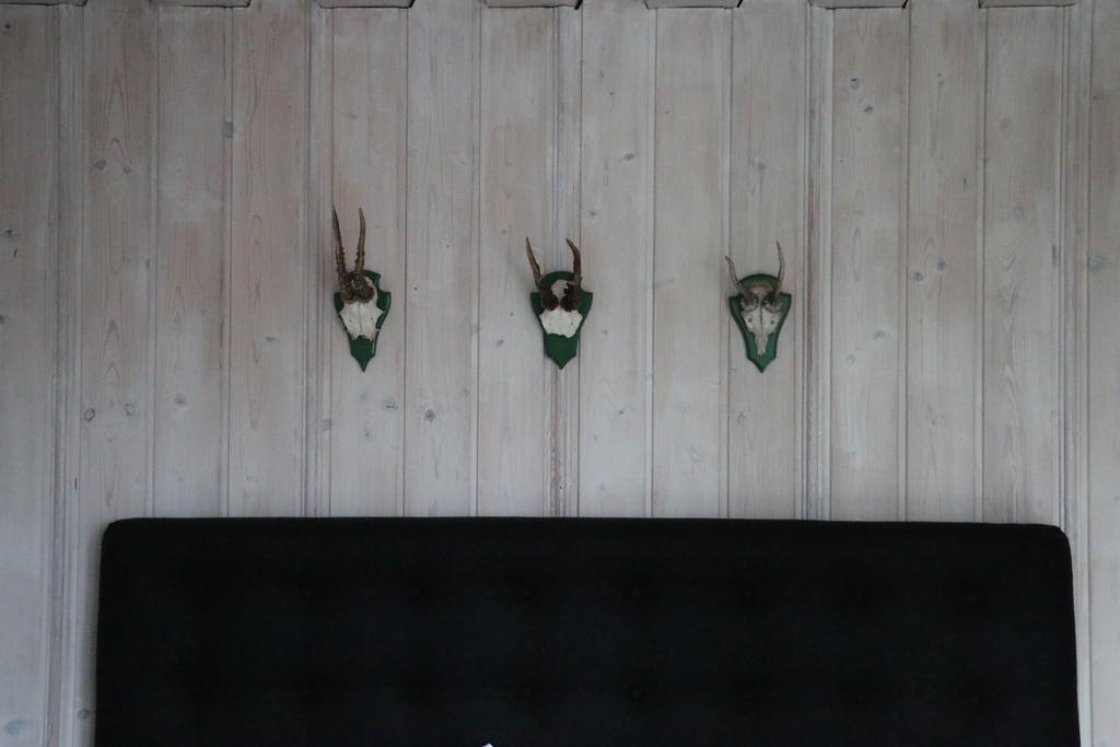 Landhotel Villa Foresta Braunlage Zewnętrze zdjęcie
